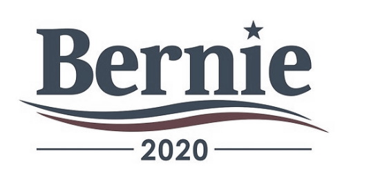 Bernie 2020